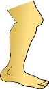 Free Legs Cliparts, Download Free Legs Cliparts png images, Free ClipArts  on Clipart Library